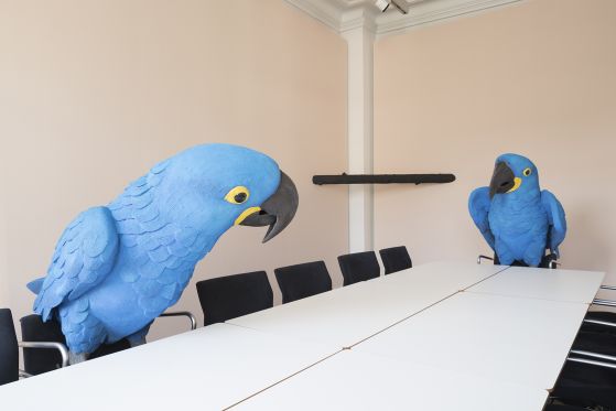 Randi & Katrine: “Vi piller ved det normale for at skærpe din opmærksomhed”</br>Randi & Katrines installation i Montanaslaen på Gl.Strand. Macaw og Macaw </br>Foto: PR-Foto / Gl. Strand - David Stjernholm