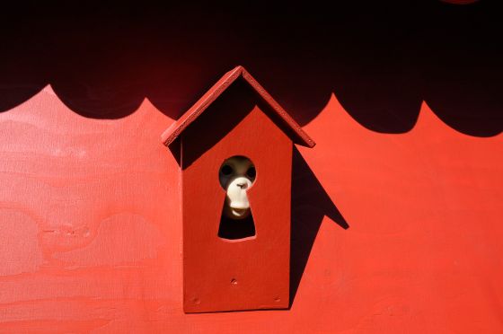 En hemmelig klub laver legeplads for indadvendte</br></br>Foto: Kulturmagasinet FIne Spind