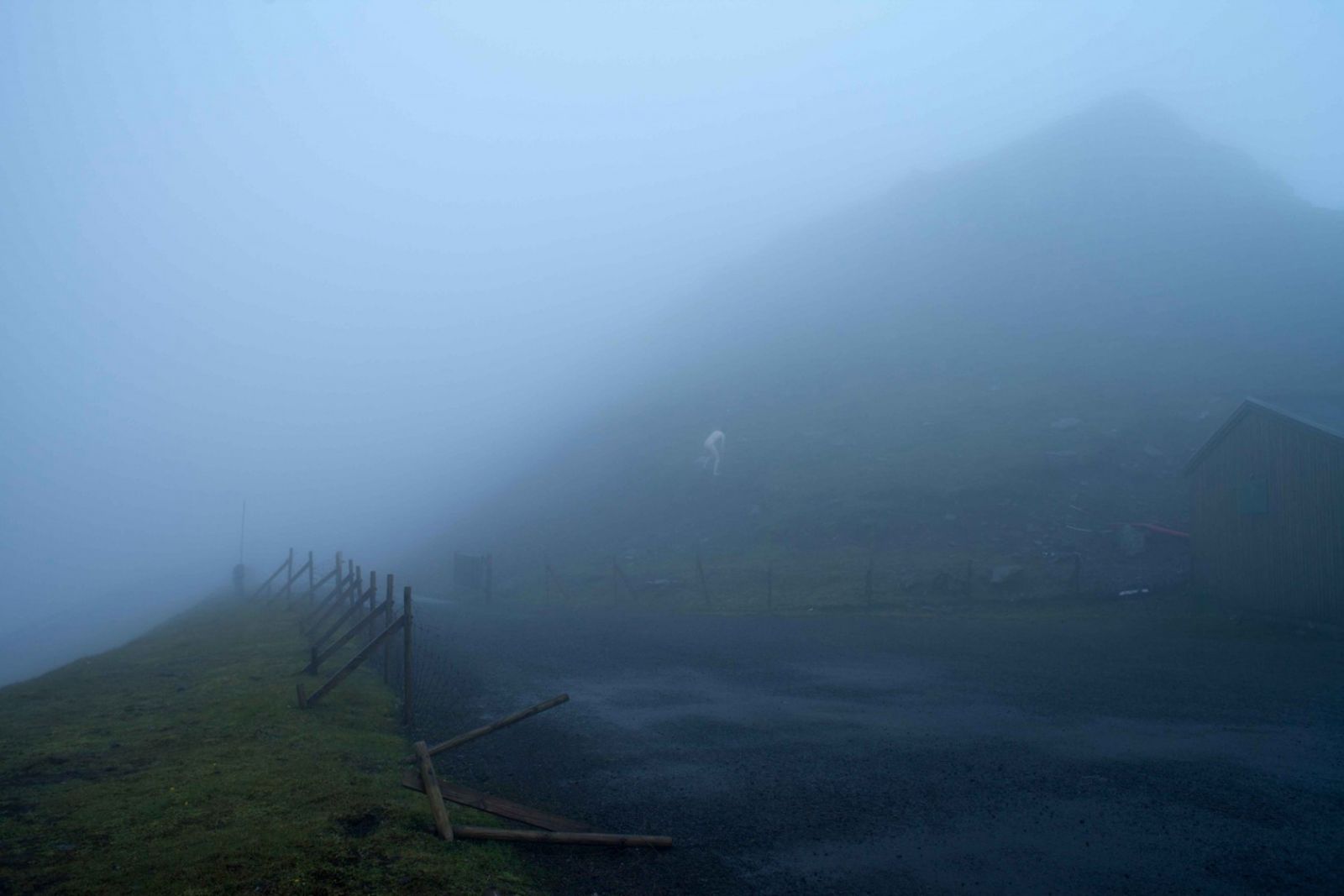 Fotokunst hylder den nøgne og uperfekte skønhed</br>Det store tema for festivalen er Breaking point. Searching for change. Men er ikke alle værkerne rummer nøgenhed.
<br />MIA MAI DENGSØ GRAABÆK: HULDRE</br>Foto: Mia Mai Dengsøe Graabæk