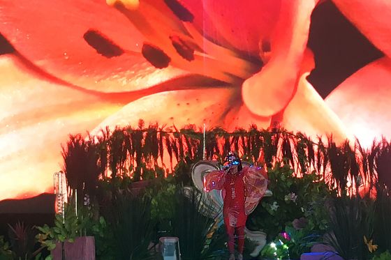 Northside blev en anden verden med Bjørk</br>På scenen var Bjørk omgivet af et inferno af en scenografi med flere meter høje grønne planter.</br>Foto: Fine Spind