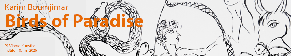 Viborg Kunsthal feb26