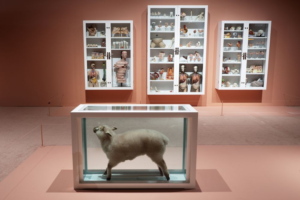 Lyserødt skulpturunivers på ARoS</br>Damien Hirst, Away from the Flock, 1994. Et lam i formaldehyd. Fra udstillingen Objects of Wonder på ARoS.</br>Foto: PR-foto / ARoS Aarhus Art Museum.