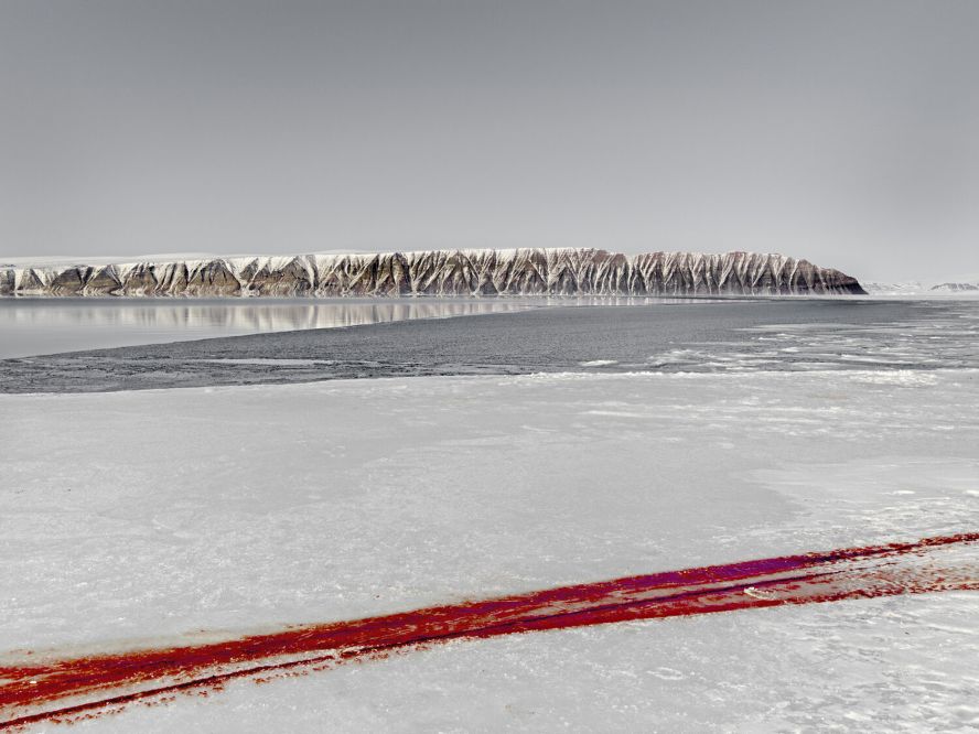 Storslået natur fra Tønder til Thule - Henrik Saxgren på Sophienholm Kunsthal</br>Blodspor i Hvalsund 2015</br>Foto: PR-foto / Sophienholm Kunsthal - Henrik Saxgren