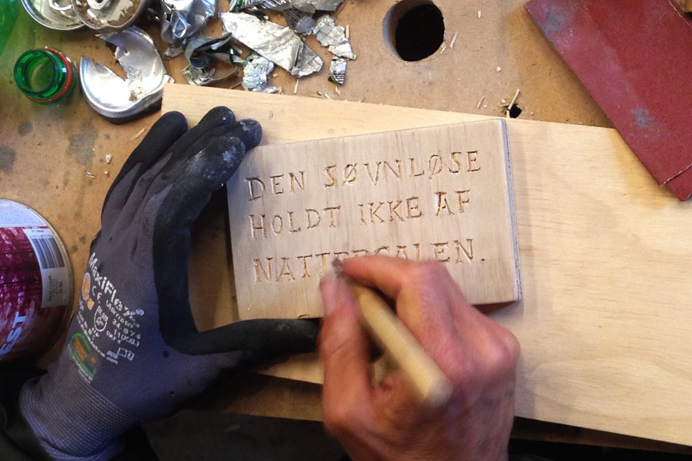 9 landsbyer får kunstnere til byen</br>Det er skønt at bo på landet, men fuglene kan godt larme lidt vel meget i en landsby.</br>Foto: Mai Damgaard Rasmussen